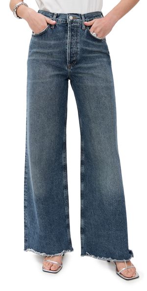 AGOLDE Dame Jeans: High Rise Wide Leg Control 31