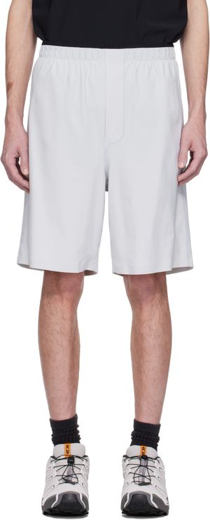 GR10K Short Render Ultrasound gris