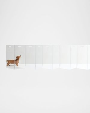 Clear Freestanding Pet Gate Zig Zag, 10-Panel