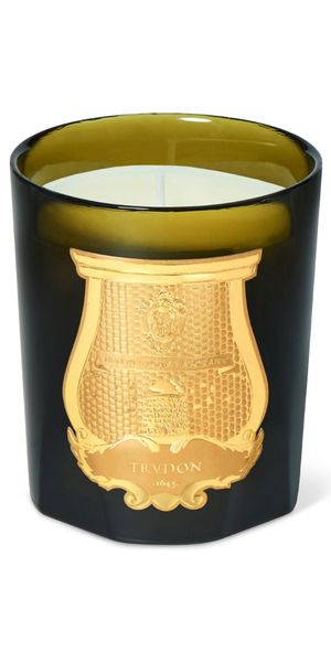 Trudon Ernesto Candle Leather and Tobacco 270 mL