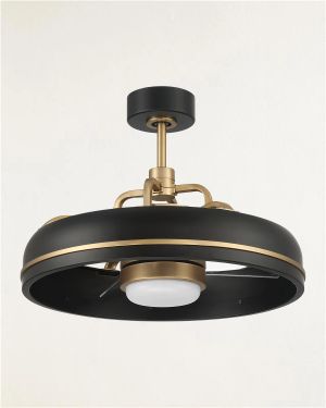 Taylor 20" Ceiling Fan with WiFi