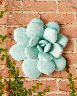 Laui Succulent Wall Art, Sage