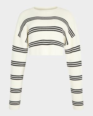 Sharlie Striped Knit Sweater