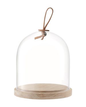 Ivalo Dome and Ash Base