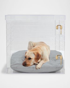 Large Clear View Pet Crate with Gold Latch