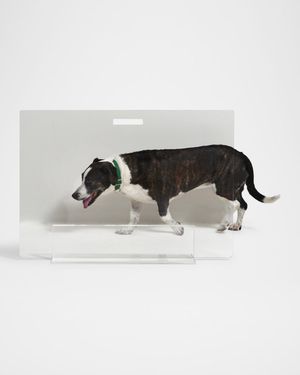 Clear Freestanding Pet Gate Panel, 36" Wide