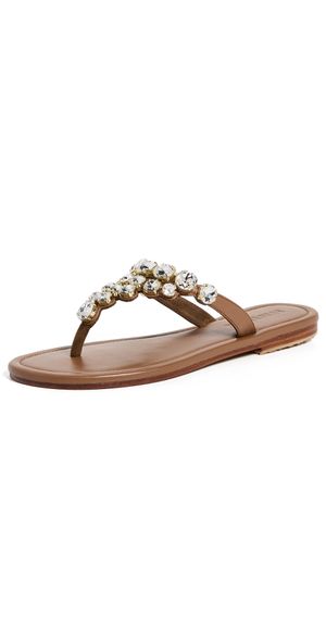 Mystique Embellished Sandals Camel/Clear 5