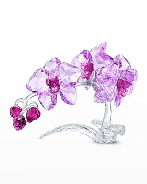 Crystal Flowers Orchid