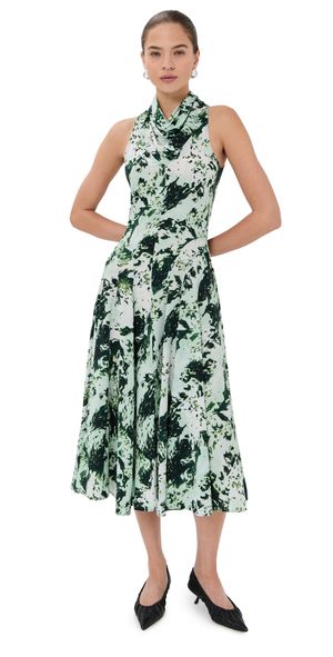 Proenza Schouler Adelide Dress In Printed Silk Viscose Dark Green Multi 8