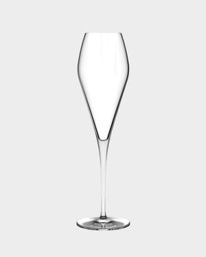 Fantasy Champagne Glasses, Set of 2