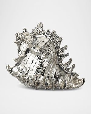 Murex Ramosus Large Shell Decorative Accent