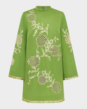 Luisa Embroidered Mini Dress