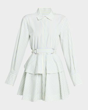 Katherine Belted Button-Front Mini Dress