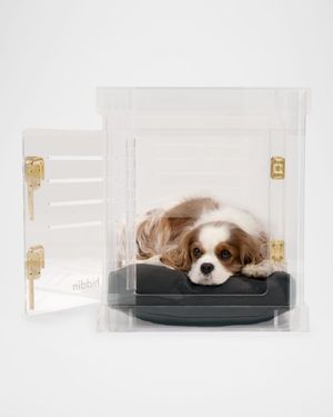 Small Clear View Pet Crate with Golden Latches