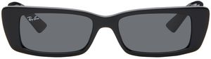 Ray-Ban Black Teru Sunglasses