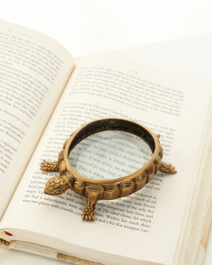 Turtle Magnifying Glass