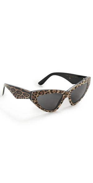 Dolce & Gabbana DG4439 Sunglasses Leo Brown On Black One Size