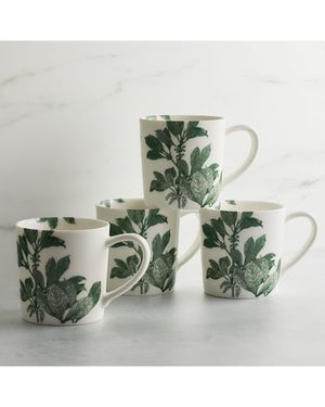Arbor Green Mugs, Set of 4