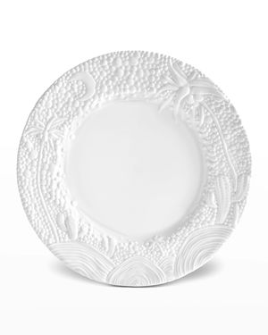 Haas Mojave Desert Charger