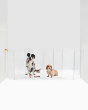 Wall Mounted Clear Pet Gate Zig Zag, 8-Panel