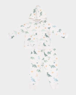 Boy's Dinos Hoodie & Jogger Pants Set, Size 6M-24M
