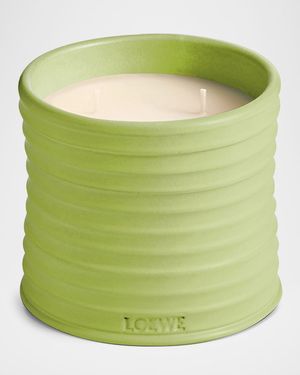 Medium Cucumber Candle, 20.7 oz.