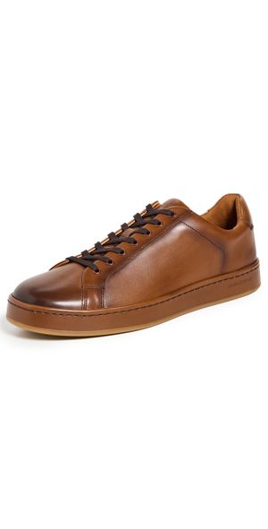 Allen Edmonds Barnes Sneakers Coffee 10.5