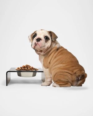 Bronze Single Bowl Pet Feeder, 2 Quart Silver