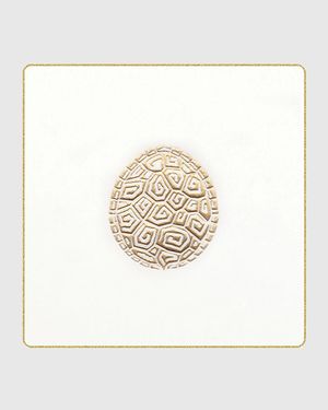 Tortoise Coasters, Set of 18