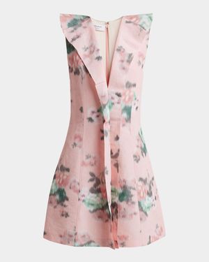 Blur Floral-Print Ruffle Sleeveless Mini Dress