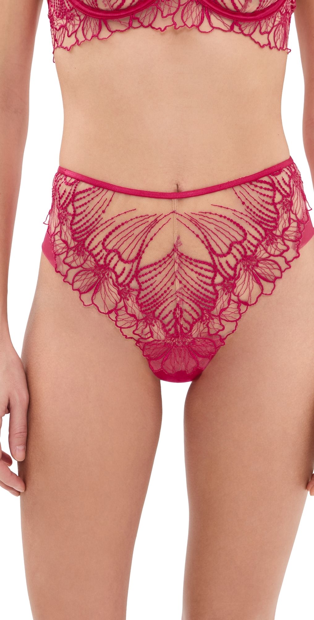 Bluebella Amarosa Briefs Virtual Pink/Sheer XS