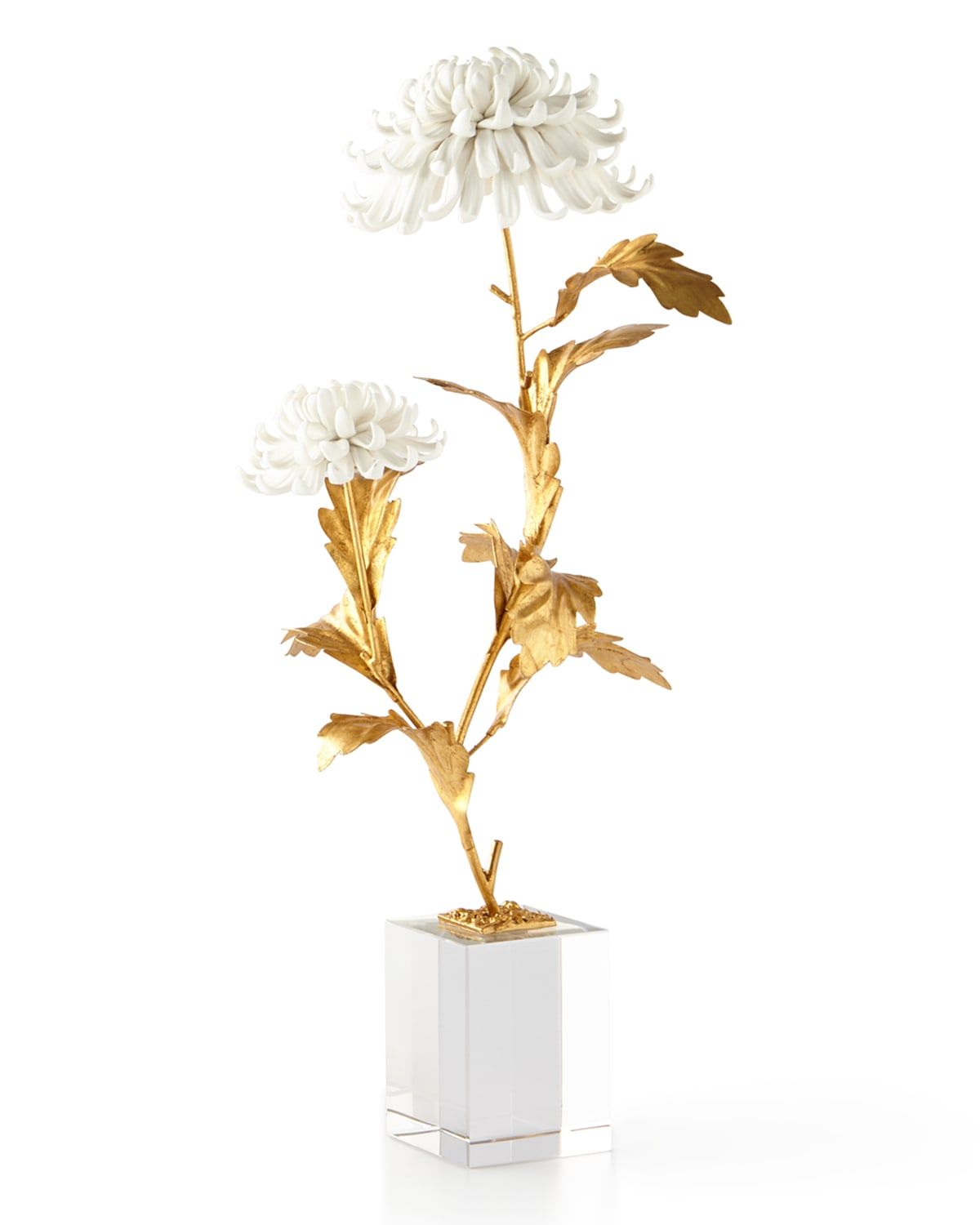 Avignon Chrysanthemums