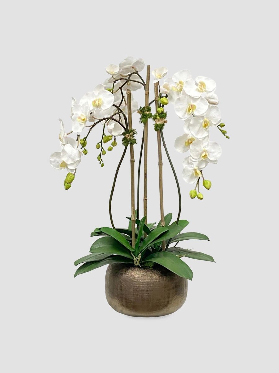 Winward Home Newness Artificial Orchid Floral Arrangement - White