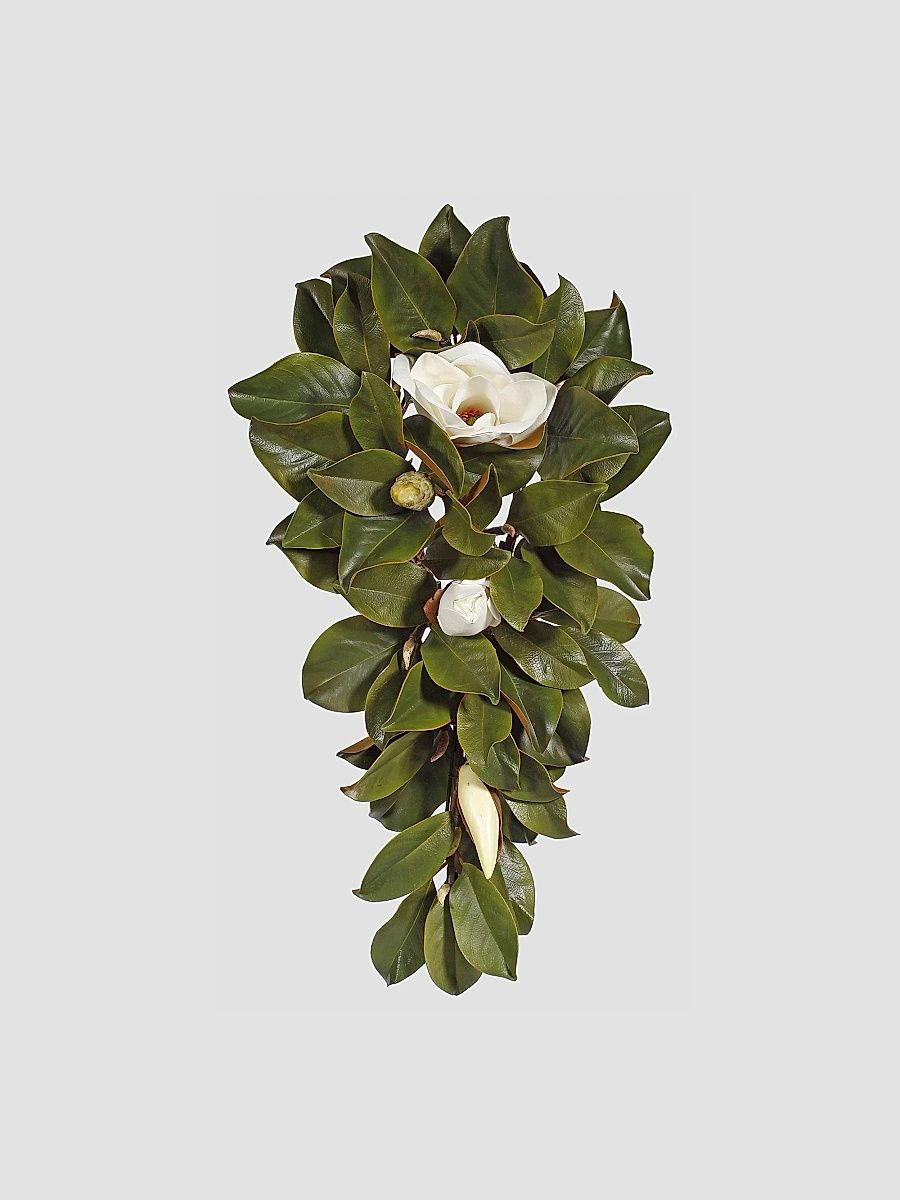 Teardrop Magnolia - White Green