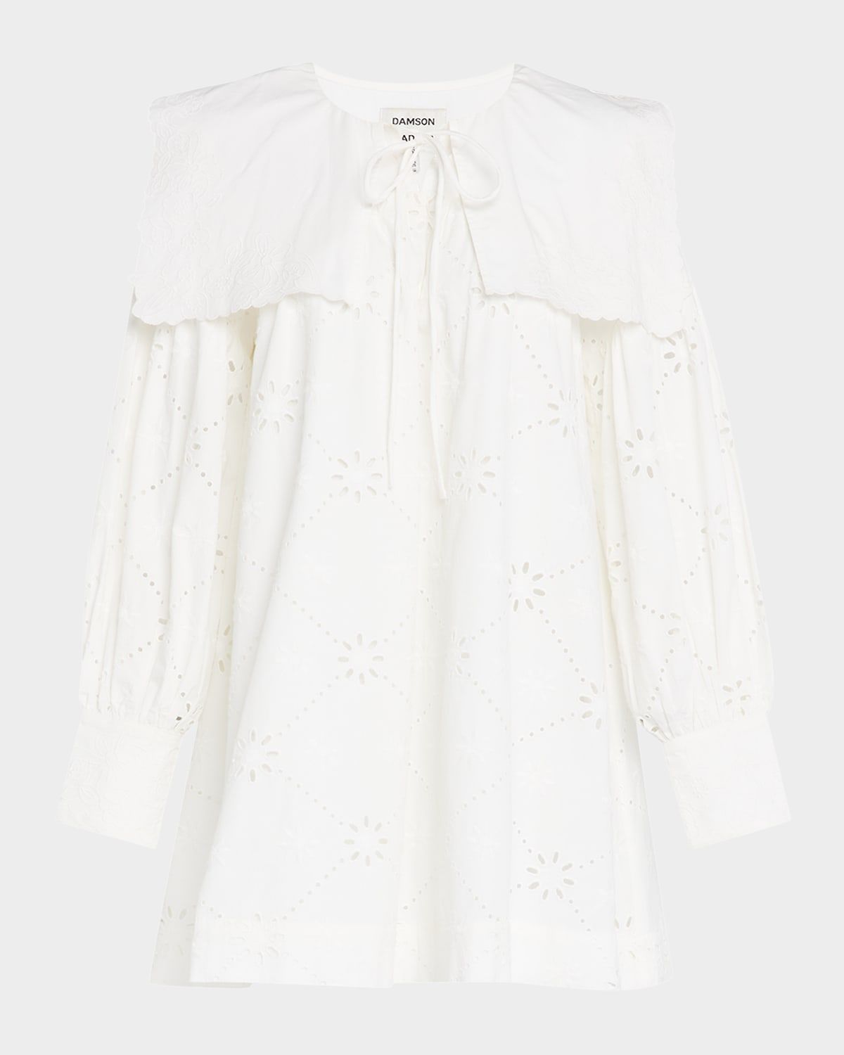 Cassidy Embroidered Long-Sleeve Mini Dress