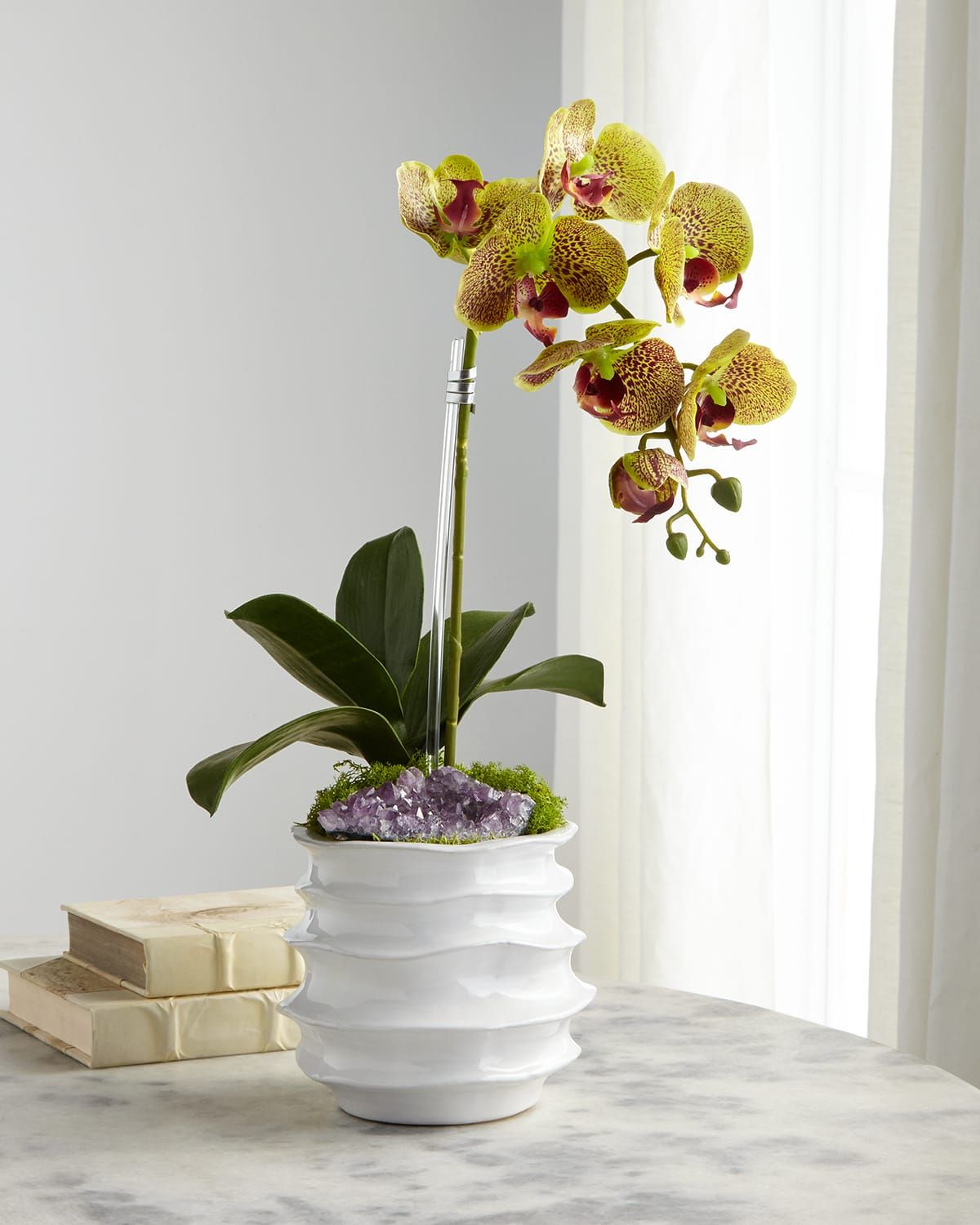 White Orchid in Contemporary Pot