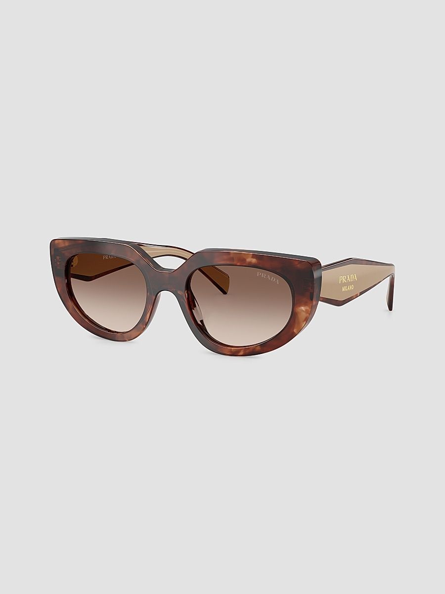 Women's D02S 53MM Oval Sunglasses - Brown