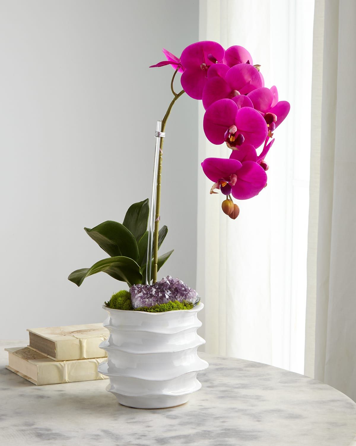 White Orchid in Contemporary Pot