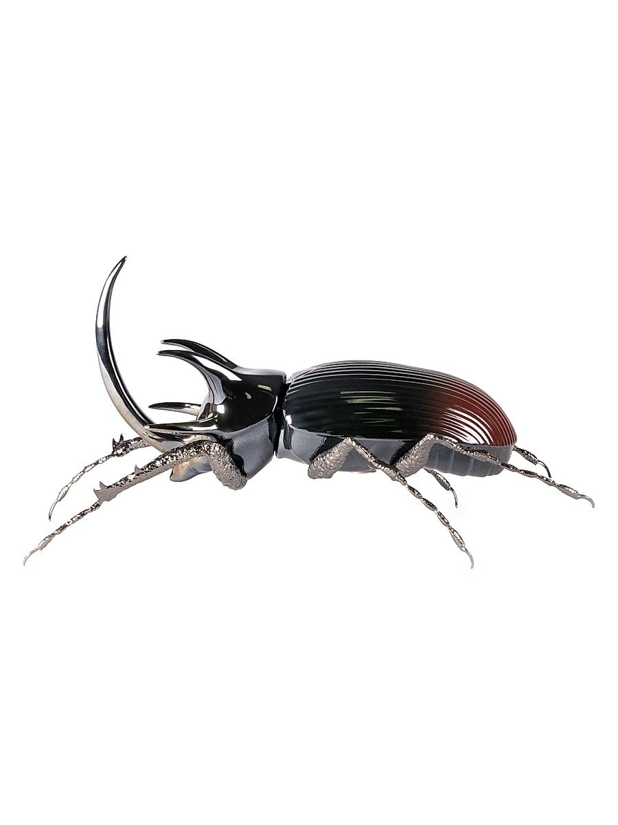 Rhinoceros Beetle