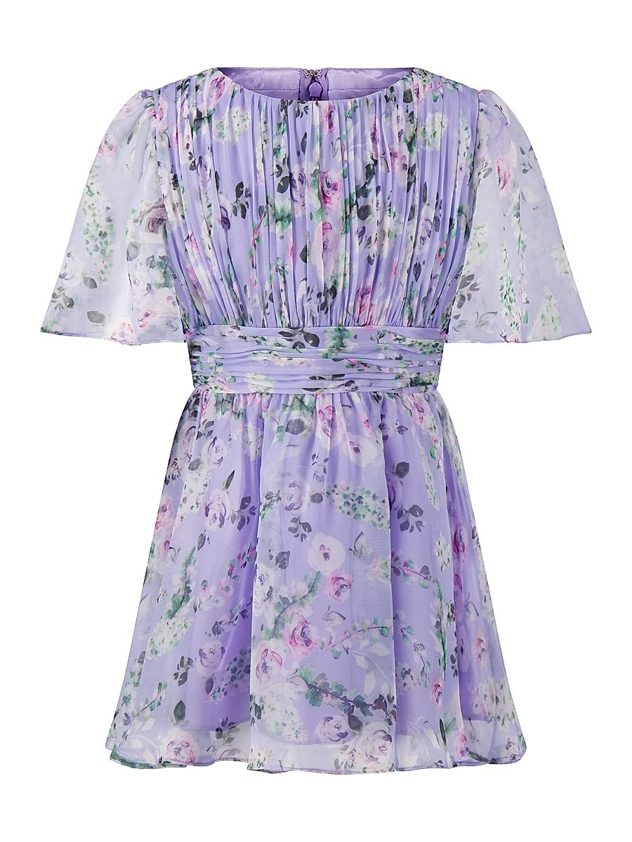 Little Girl's & Girl's Floral Pleated Dress - Bluelavenderfloral - Size 14