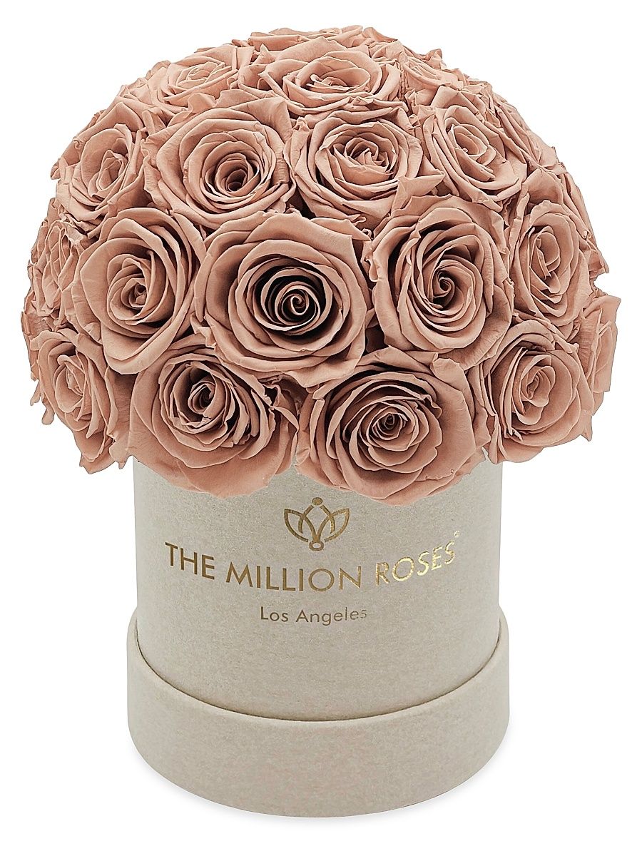 Basic Suede Superdome Box of Roses - Light Pink