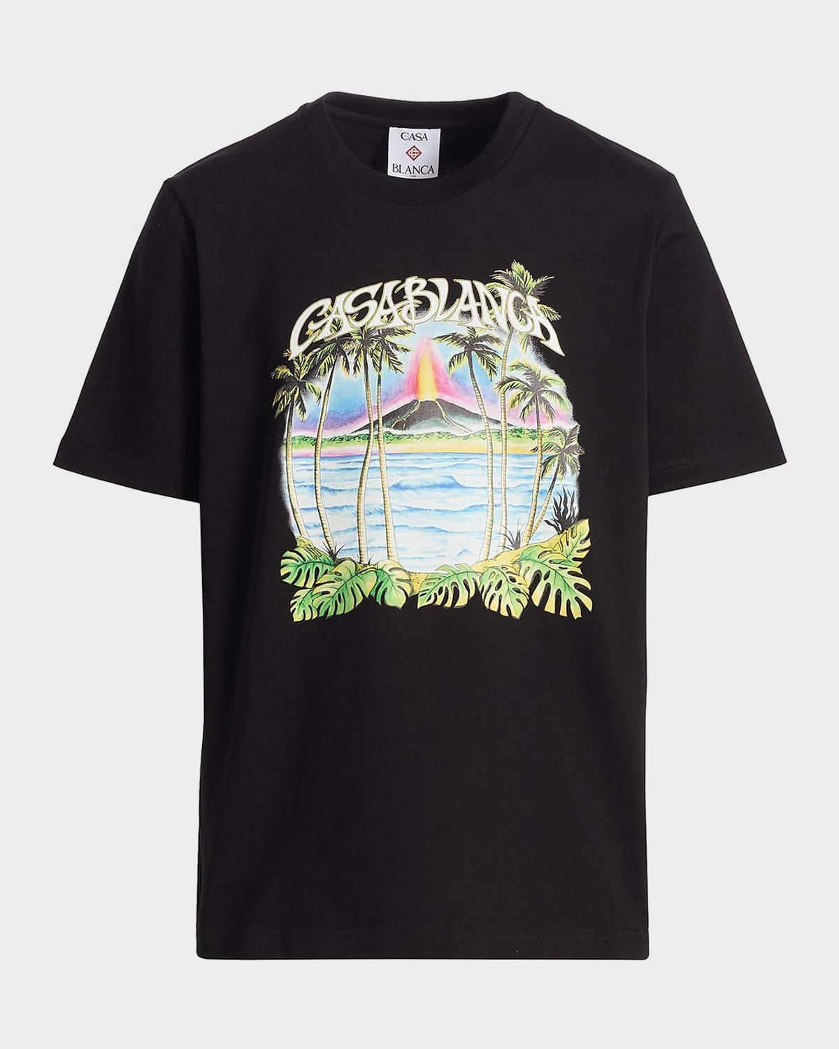 Men & apos;s Organic Cotton Volcano Logo T-Shirt