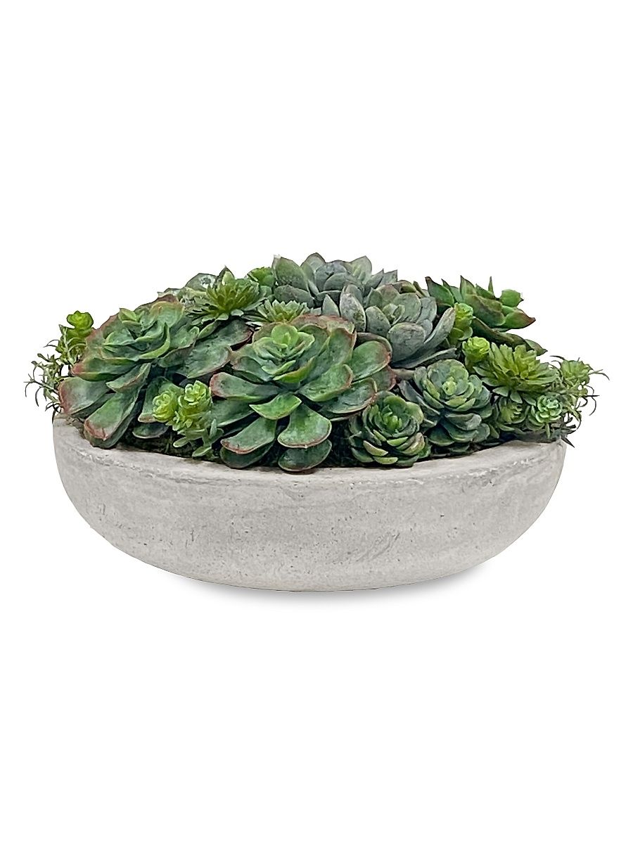 Imitation Succulent Mix In Round Bowl