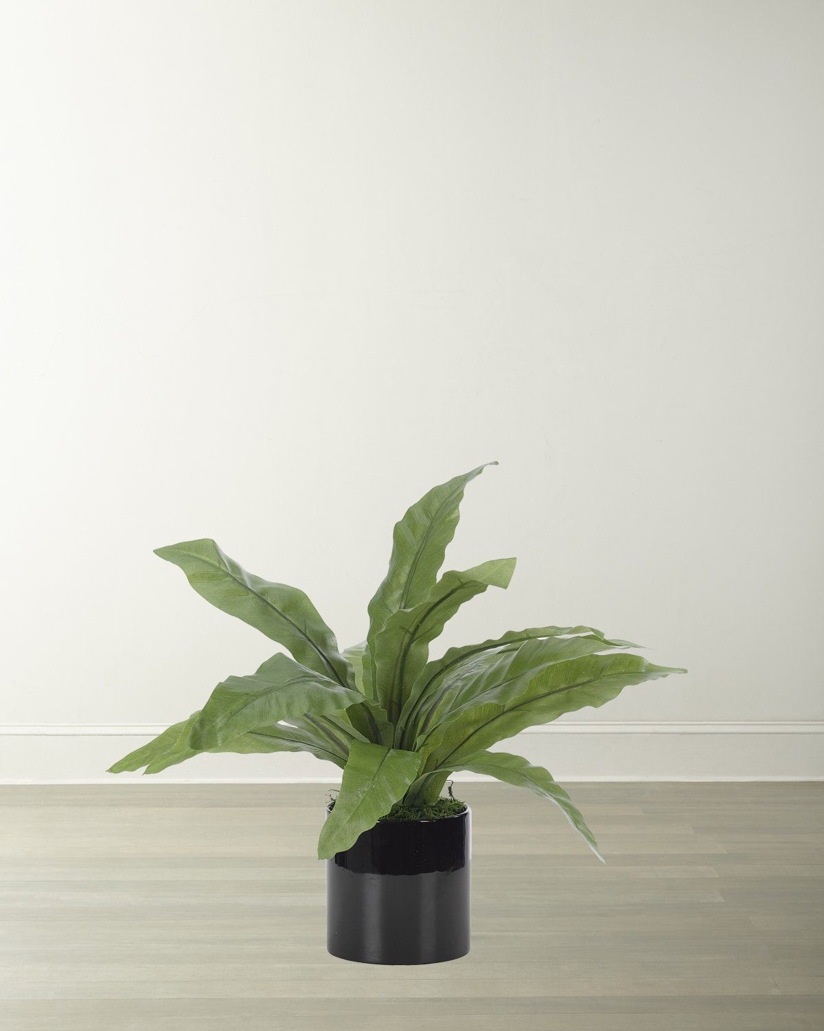 Faux Bird Nest Fern Plant in Black Ceramic Planter