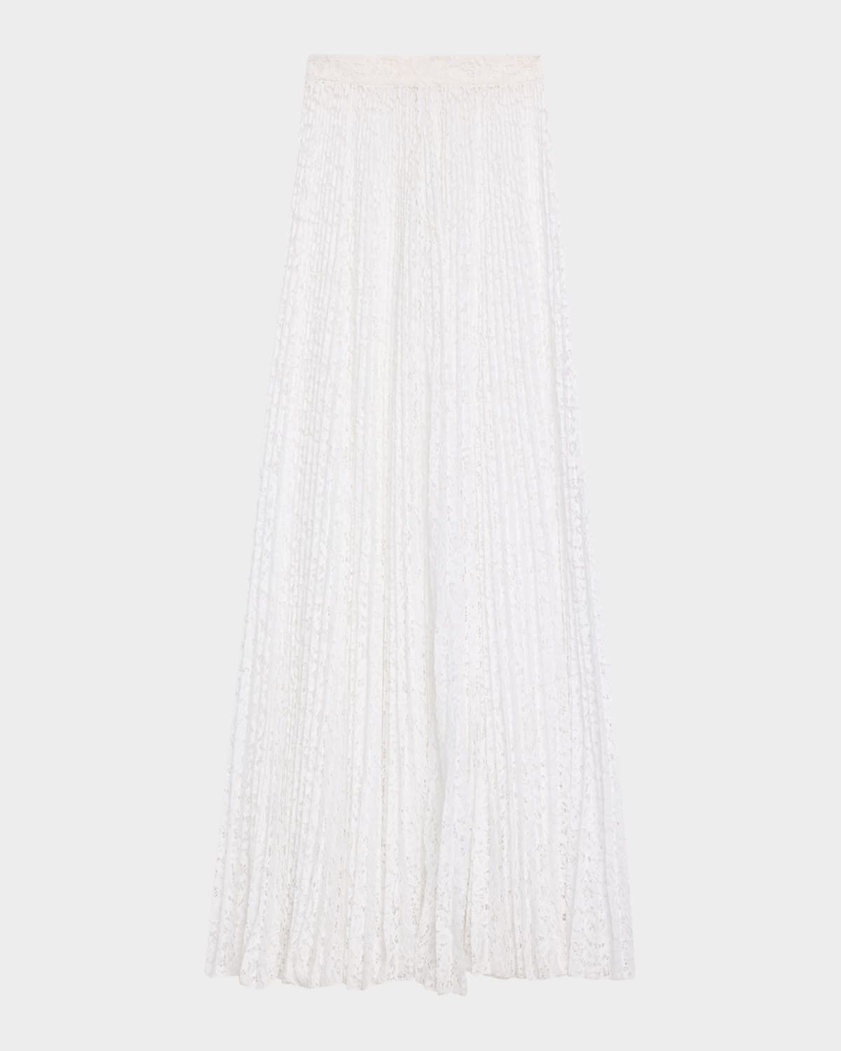 Pleated Sheer Floral Lace Maxi Skirt