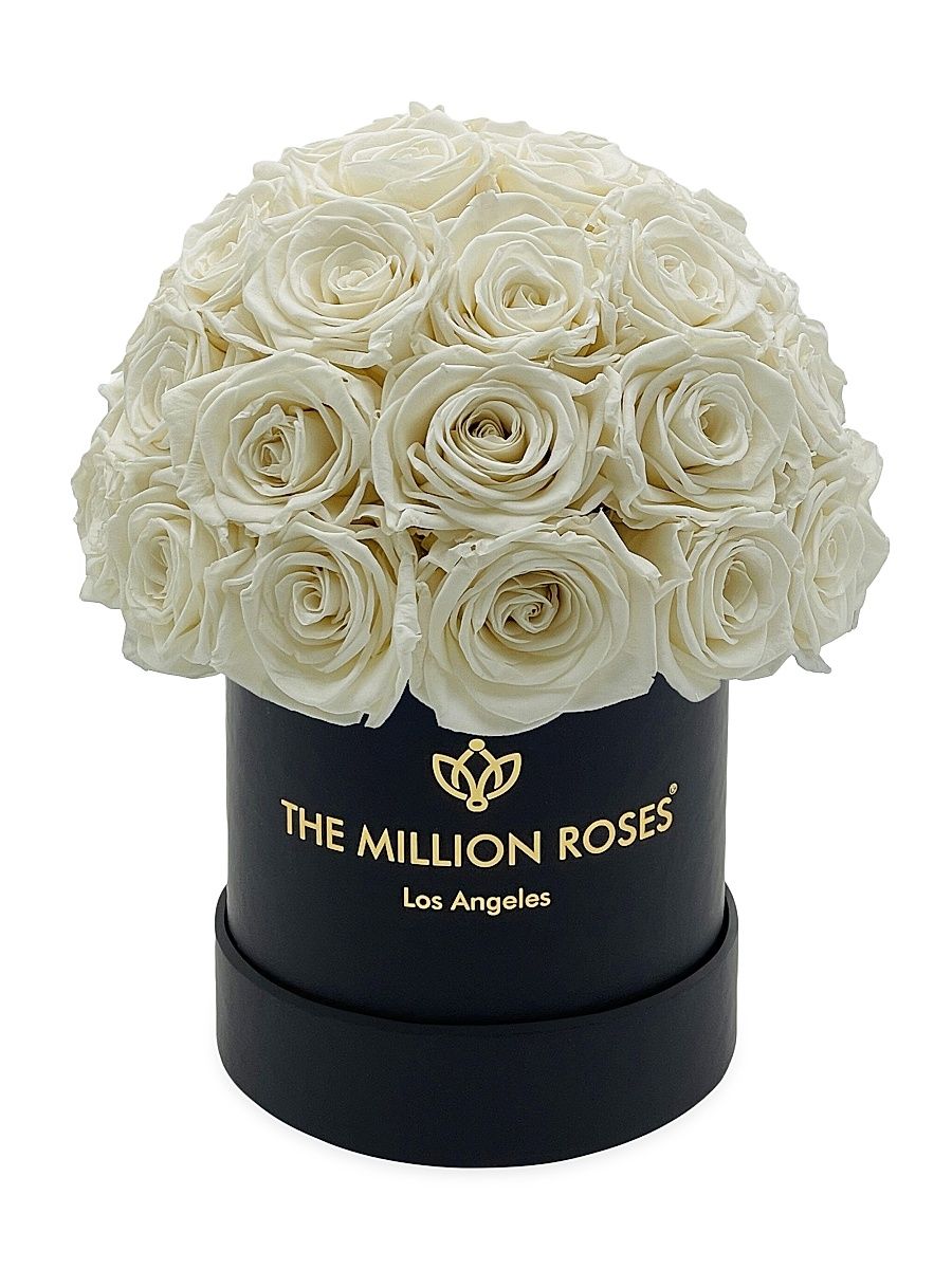 Basic Black Superdome Box - Red