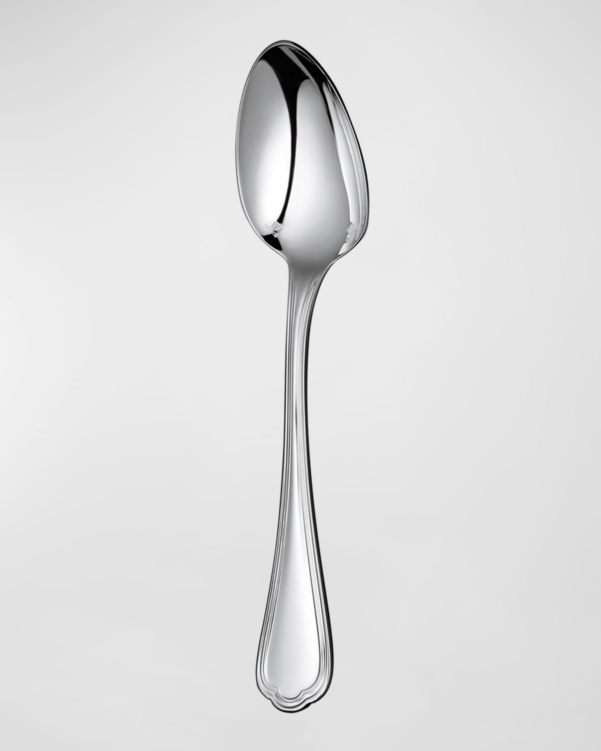 Spatours Silver-Plated Place Spoon