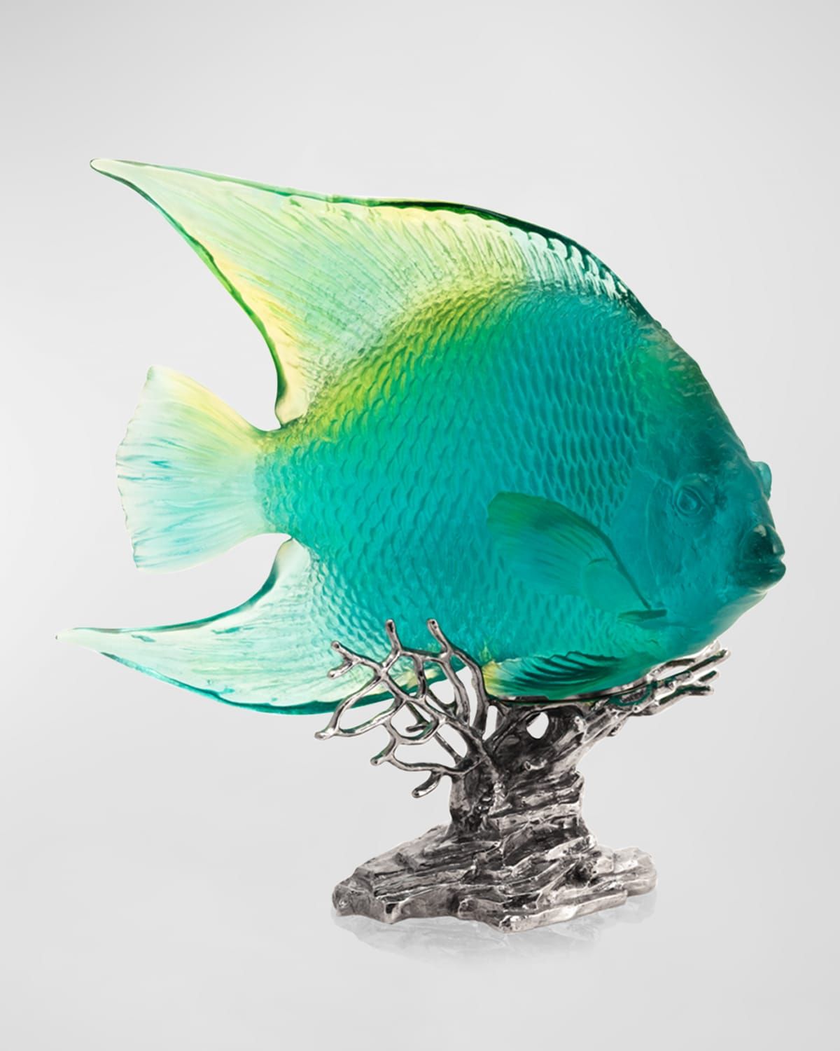 Royal Turquoise Angelfish