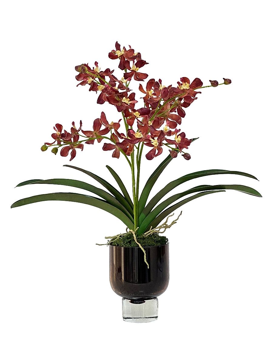 Everyday Newness Refresh Imitation Vanda Lamellata Orchid In Glass Vase - Brown
