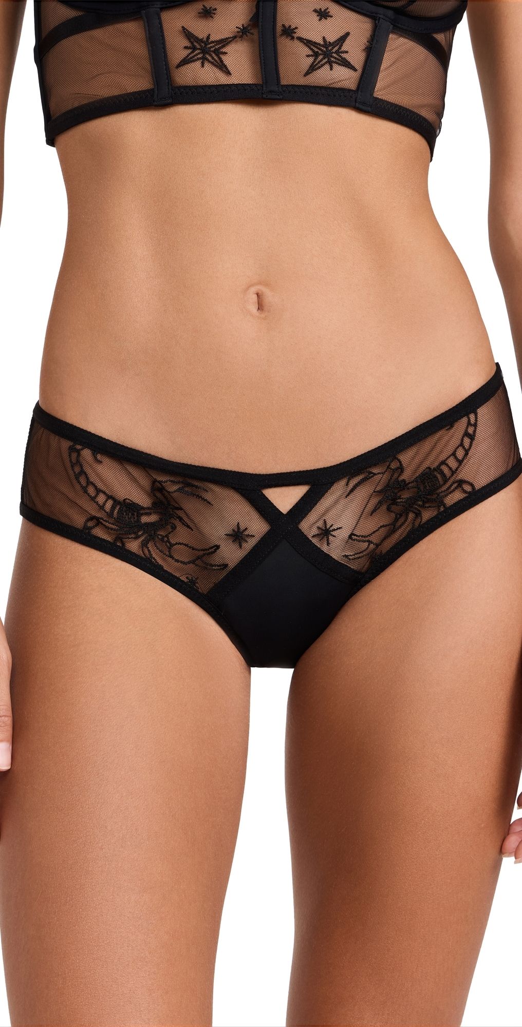 Thistle and Spire Scorpio Bikini Panties Black XL